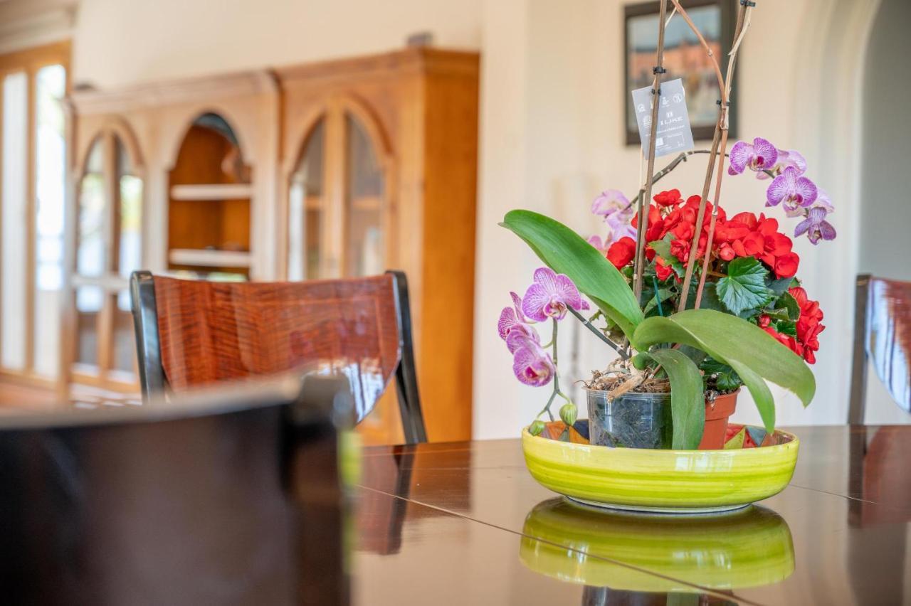 Villa Quesada Пагера Екстериор снимка